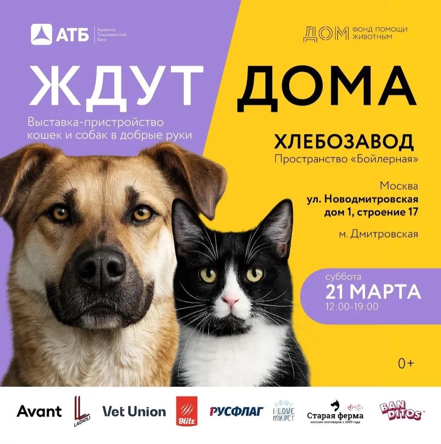 Снимок экрана 2026-03-17 120041.jpg