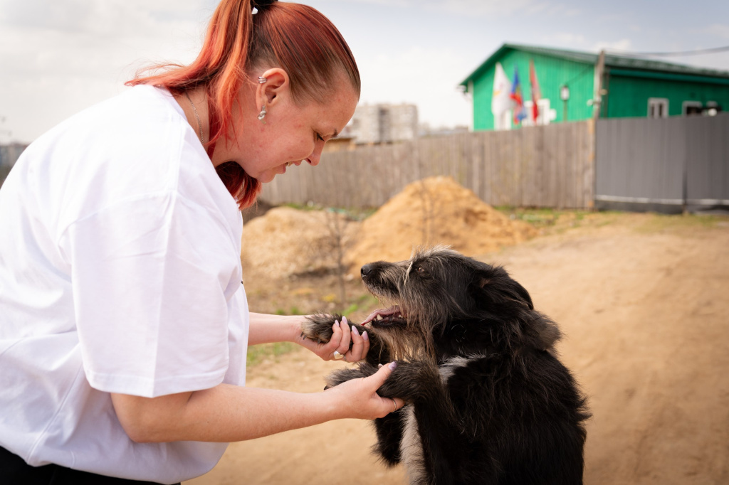 photo_2025-10-28_00-18-43.jpg photo_2025-10-28_00-18-43.jpg