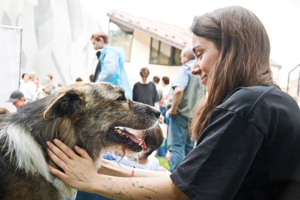 2025_05_31_НадоБрать_IMG_9658.jpg 2025_05_31_НадоБрать_IMG_9658.jpg